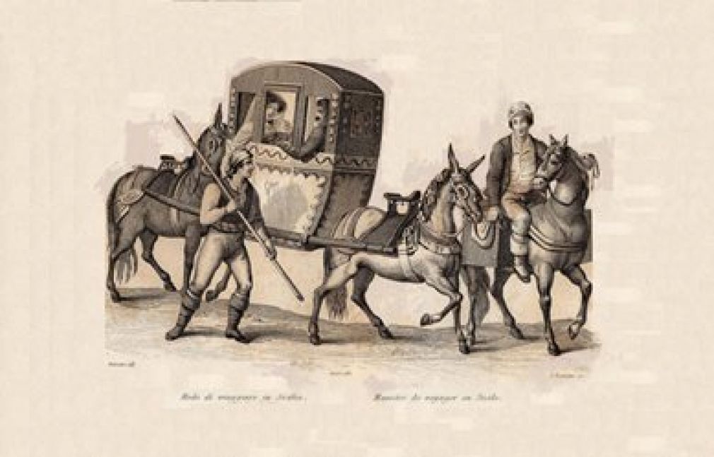 1800 - Mezzi trasporto turisti e non