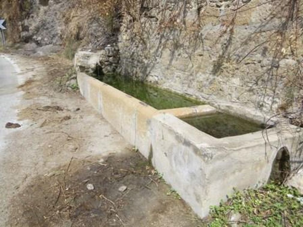 Fontana Aidone/n. 48