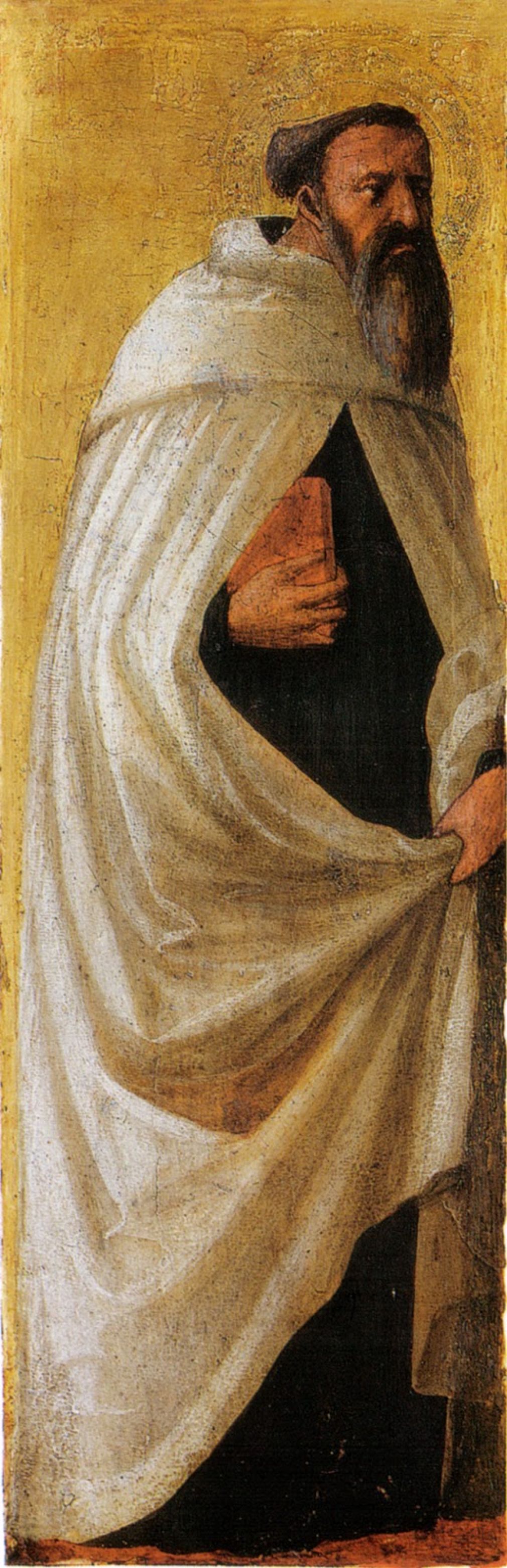 L&#039;abito dei Carmelitani/2