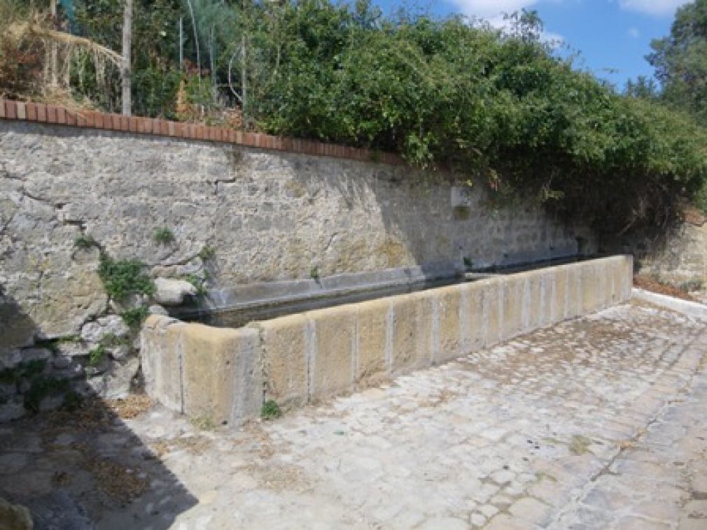 Fontana Aidone/n. 47