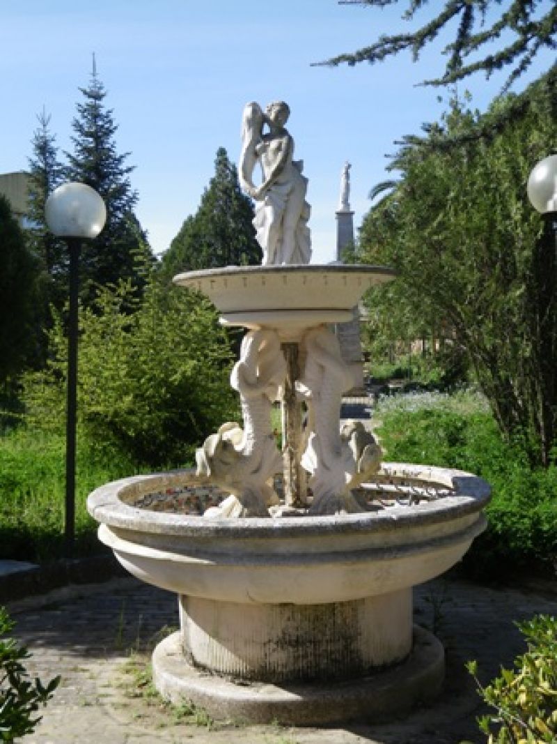 Fontana Oasi Cusmano/n. 58