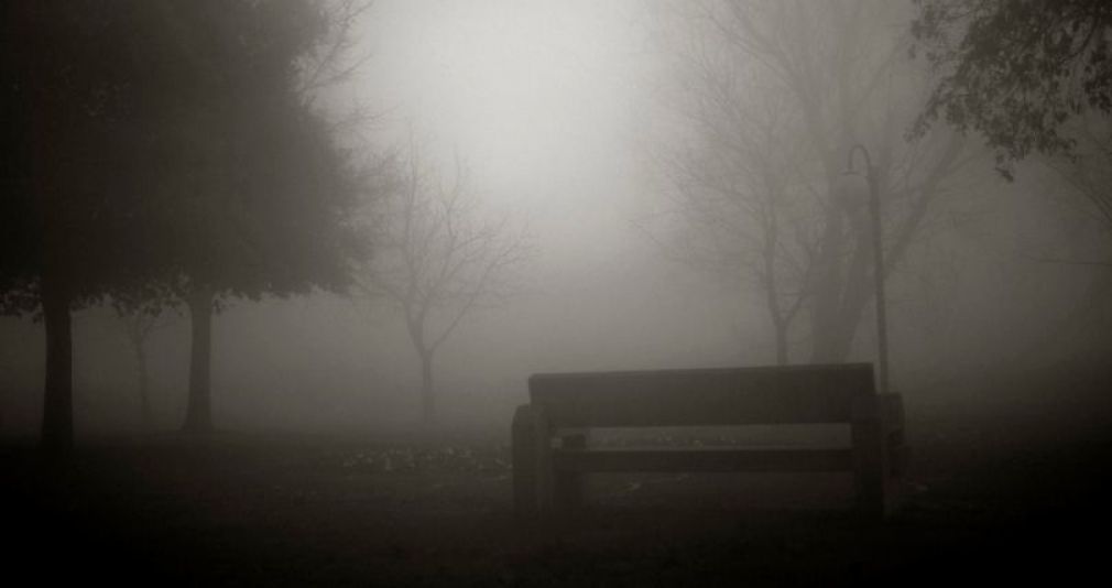 Nella nebbia