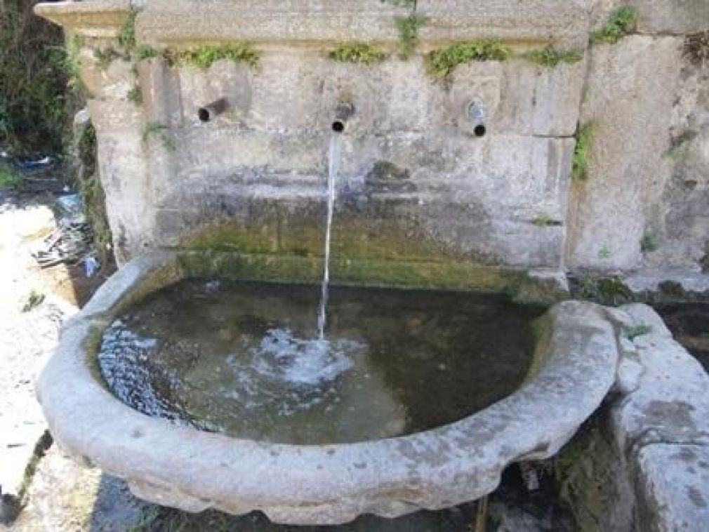 Fontana Aidone/n. 46